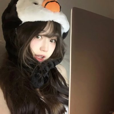 焦头烂鹅 封面